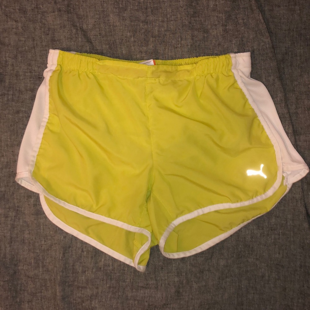 Puma Gym Shorts